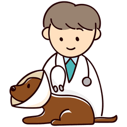 Veterinary Care